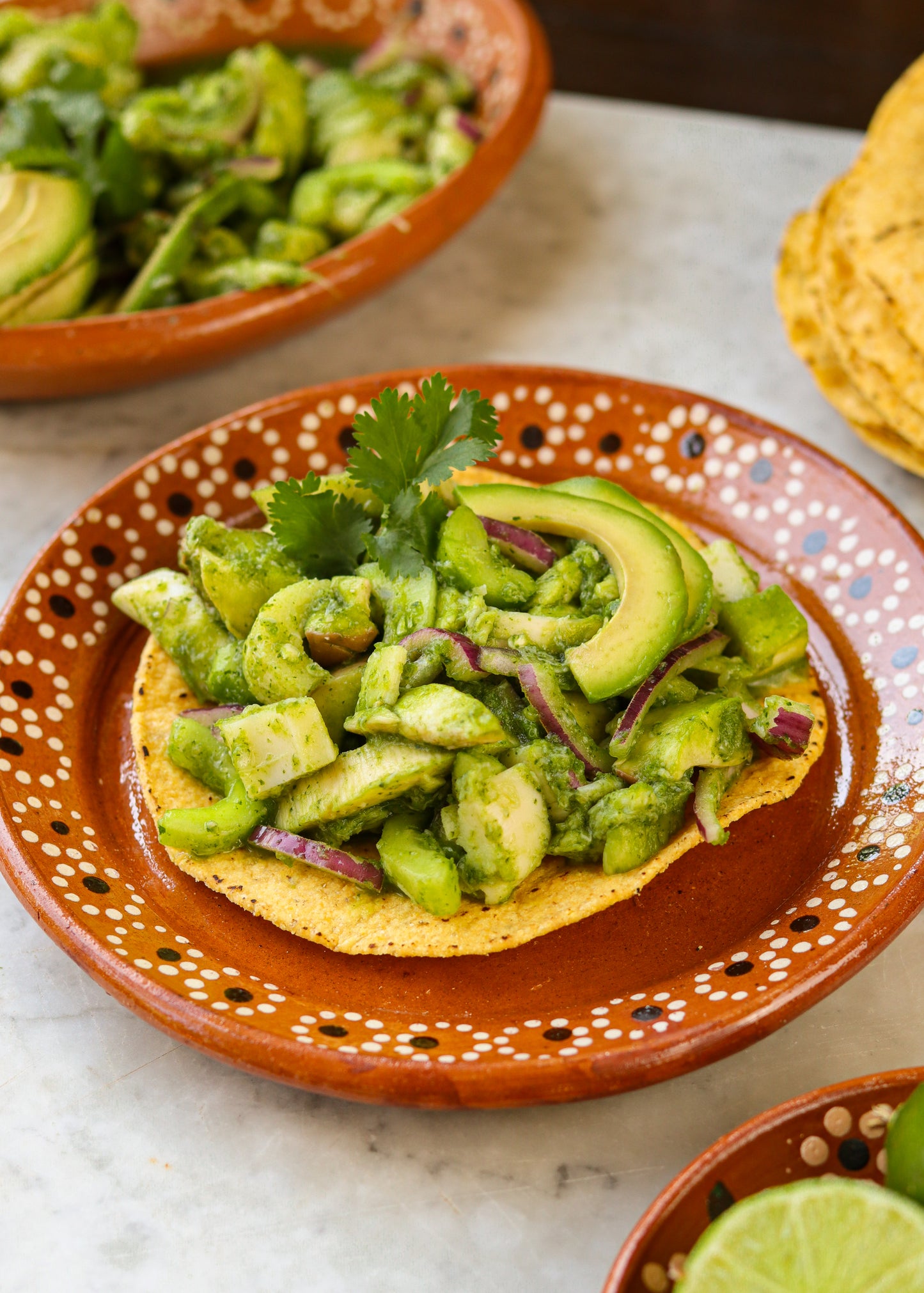 Healthy, Simple, Mexican Recipes (Plant-based and under 30 minutes!)